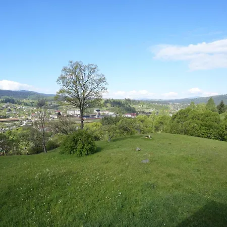 別荘 шпінь 3 ボロフタ